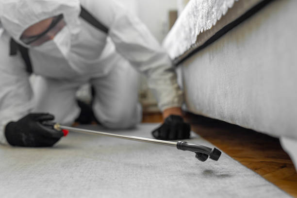 Professional Termite Control technician working in Catawba County County, NC